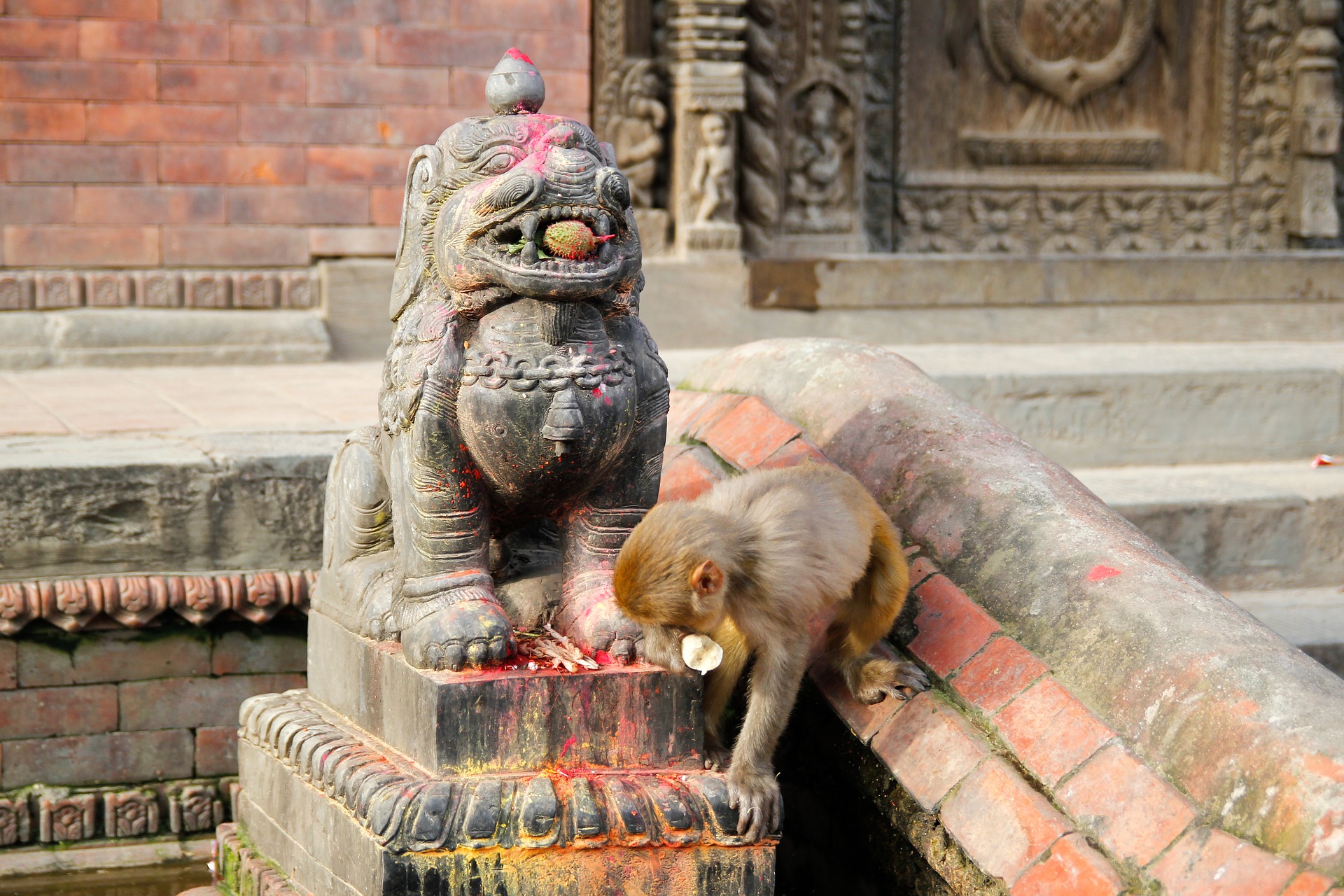 معبد Pashupatinath نيبال